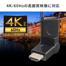 画像9: HDMI回転コネクタ 3Dタイプ AD-HD35 (9)