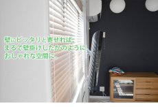 画像6: NHK「おはよう日本」まちかど情報室で紹介！エアーポール 1本タイプ・上下角度Mサイズ (6)