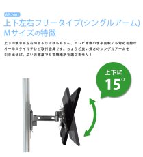 画像13: NHK「おはよう日本」まちかど情報室で紹介！エアーポール 1本タイプ・上下左右フリータイプMシングルアーム (13)