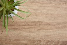 画像9: 【送料無料】テレビ台 ローボード テレビボード 壁寄せ 壁寄せテレビ おしゃれ 送料無料 153002 (9)