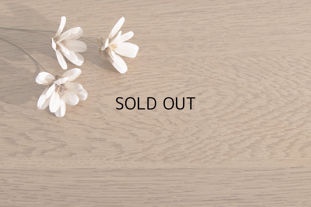 画像9: 【送料無料】テレビ台 ローボード テレビボード 壁寄せ 壁寄せテレビ おしゃれ 送料無料 160005 (9)