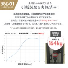 画像11: 【46〜100型対応】大型テレビ対応 壁掛け金具 上下左右角度調節ダブルアーム - PRM-LM100L (11)