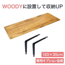 画像1: 【送料無料】賃貸でもOK！テレビ壁掛け金具・DIAWALL・ディアウォール・2ｘ4材セット【ウッディ】専用棚板120×30cm (1)
