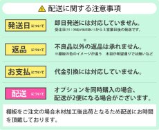 画像8: 【送料無料】WOODY専用 チャンネルサポート棚板　サイズ120×30cm　wdy-cshelf-12030 (8)